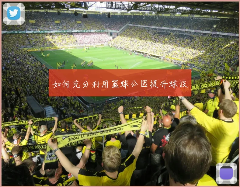 如何充分利用篮球公园提升球技