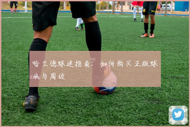 哈兰德球迷指南：如何购买正版球衣与周边