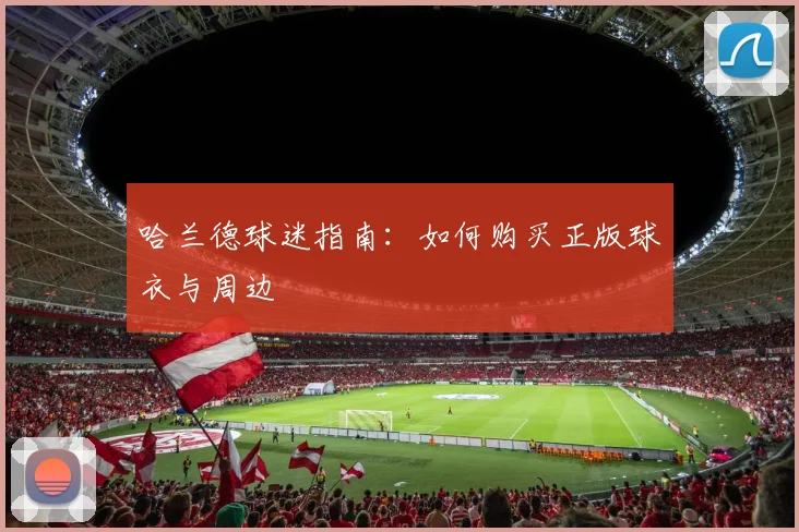 哈兰德球迷指南：如何购买正版球衣与周边