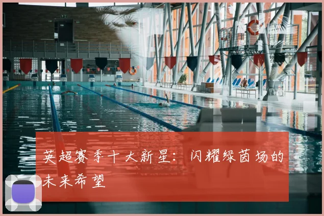 英超赛季十大新星：闪耀绿茵场的未来希望